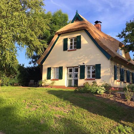 Ferienhaus Preetz 1A - Idylle Unter Reet Burtevitz Экстерьер фото