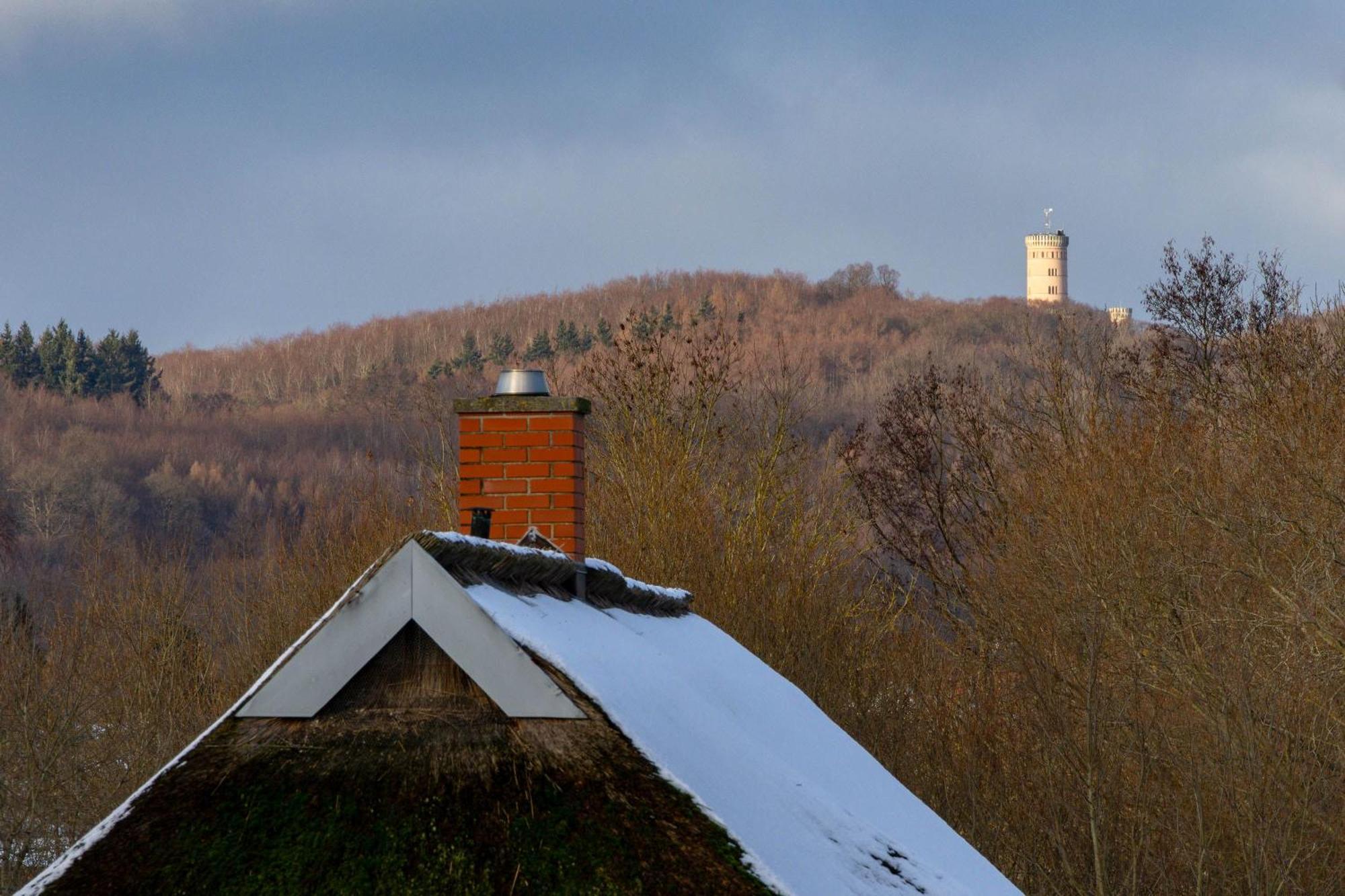Ferienhaus Preetz 1A - Idylle Unter Reet Burtevitz Экстерьер фото